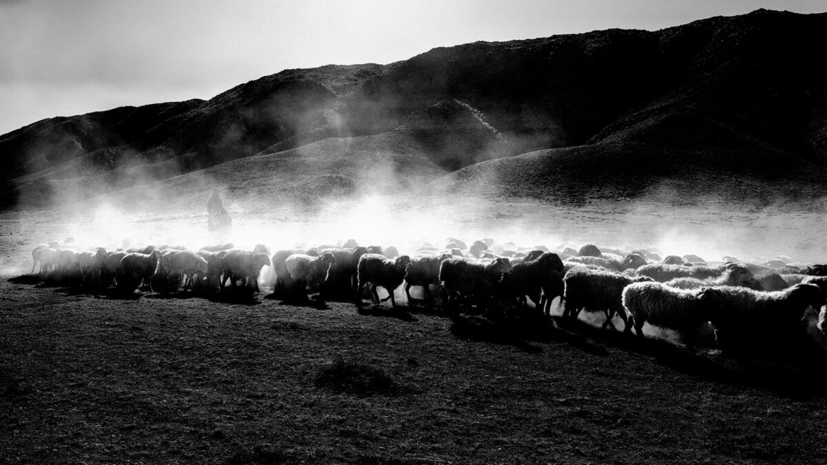 sebastião salgado hommage limites faut il